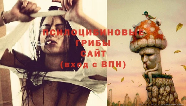 ПСИЛОЦИБИНОВЫЕ ГРИБЫ Ветлуга