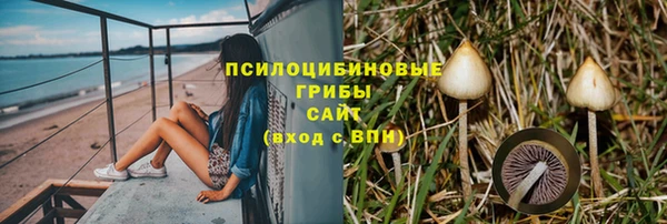 ПСИЛОЦИБИНОВЫЕ ГРИБЫ Ветлуга