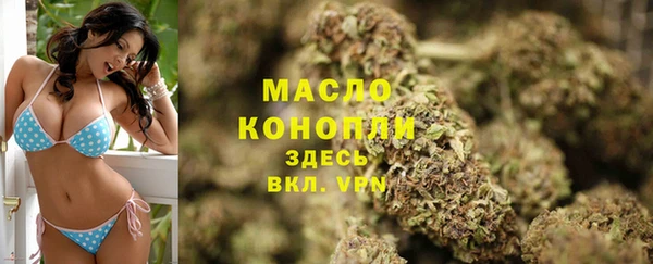 apvp Новозыбков