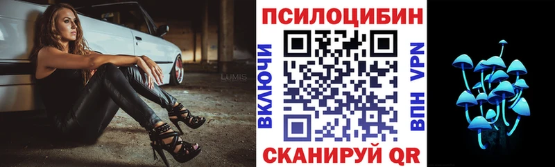 Галлюциногенные грибы прущие грибы  закладки  Бодайбо 